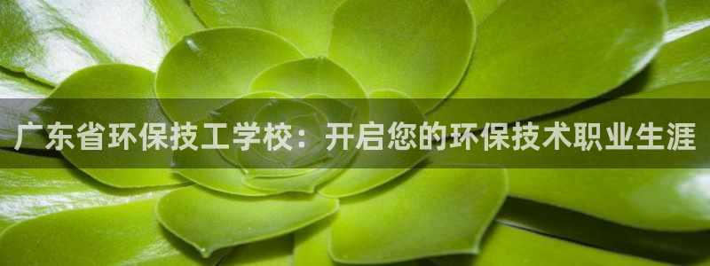 jdb试玩网页版