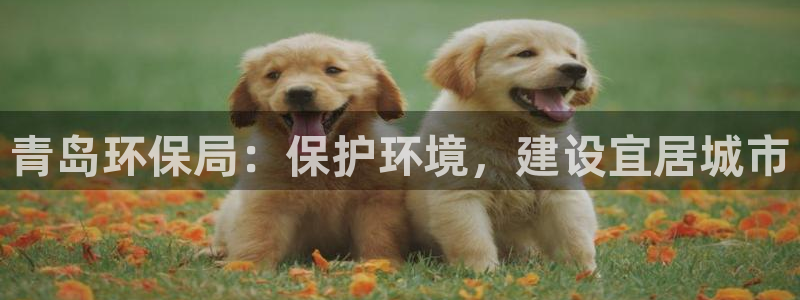 下载jdbc驱动