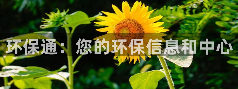 jdb电子龙舞大奖视频