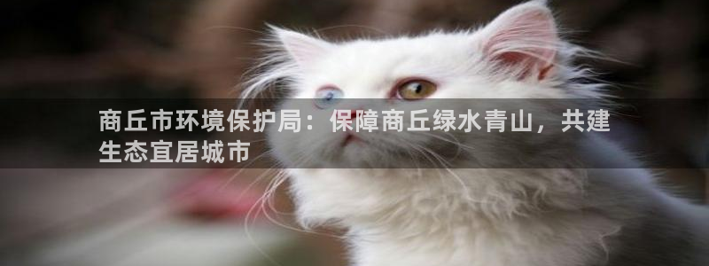 jdbc2.0.apk