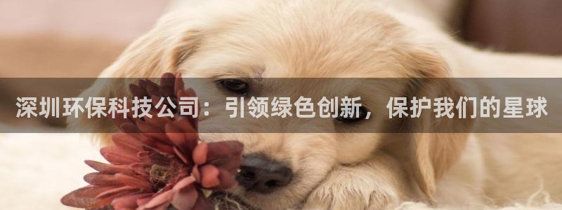 jdb电子变脸2出十个是多少倍