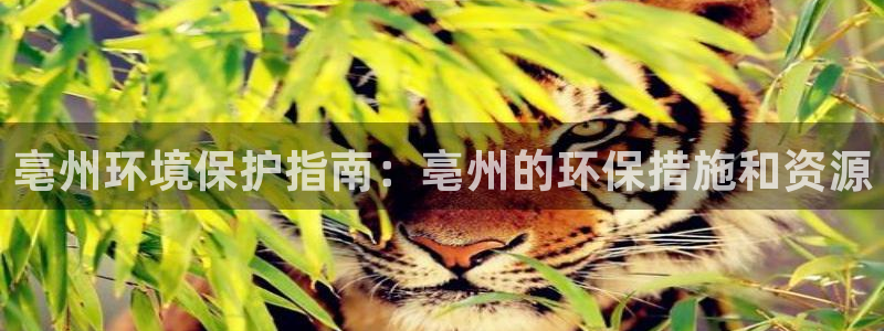 jdb游戏客户端