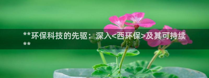jdb电子游戏金刚