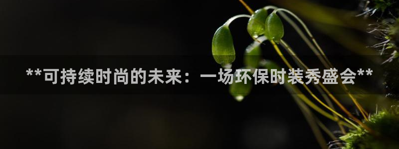 jdb电子是哪里开发的游戏