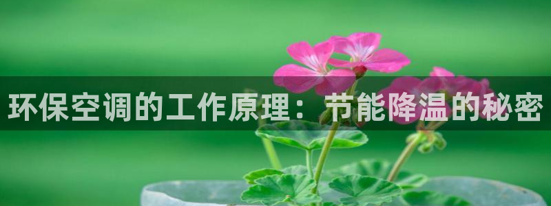jdb集团