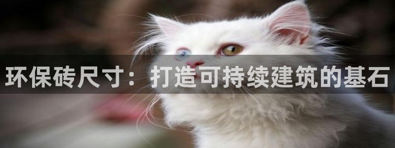 jdb试玩2000在线