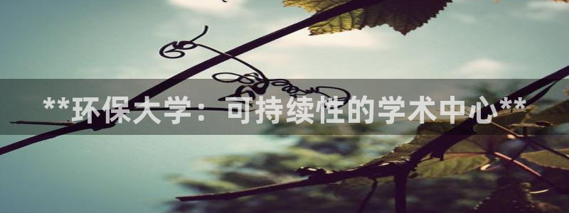 jdb网址多少