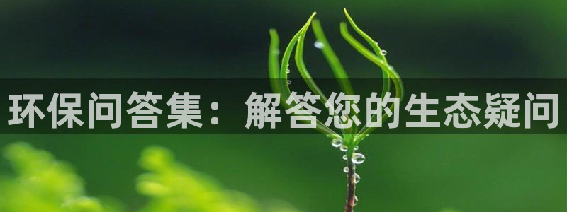 jdb电子飞鸟派对游戏爆大奖图片