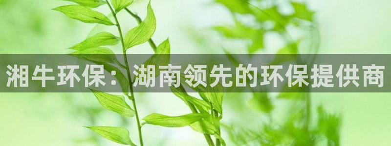 JDB电子游戏试玩