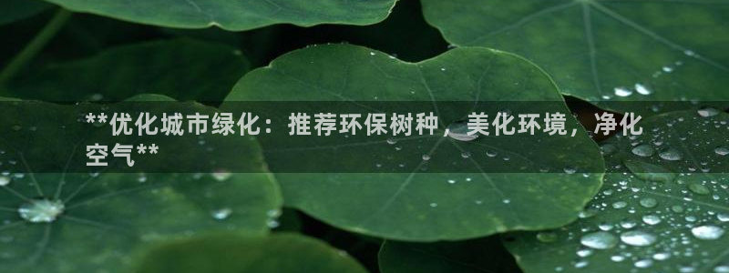 夺宝jdb网址