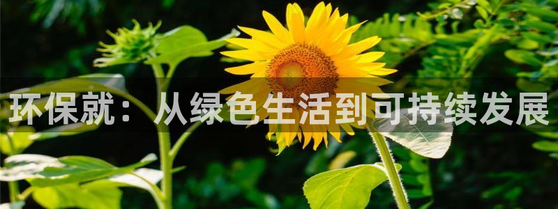 jdb游戏麻雀无双大奖视频
