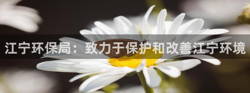 JDB电子游戏飞鸟派对宝箱