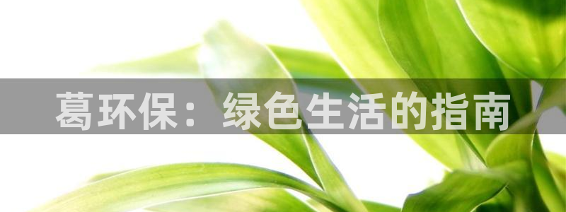 jdb电子官网3.8.2.2.2.3主管还