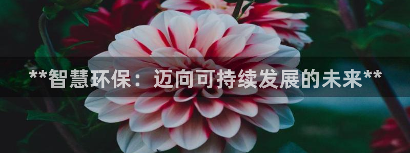 jdb电子攻略