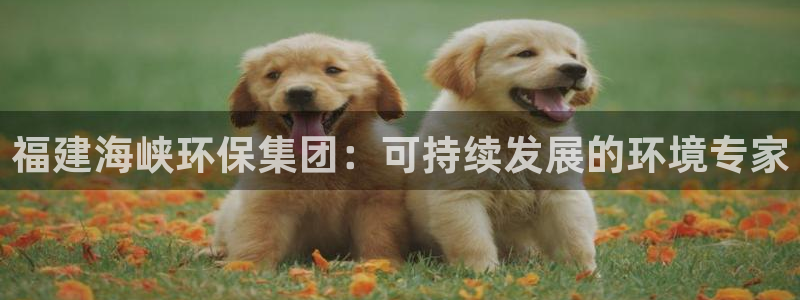 jdb什么游戏容易爆大奖