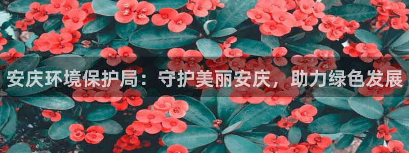 JDB电子官方