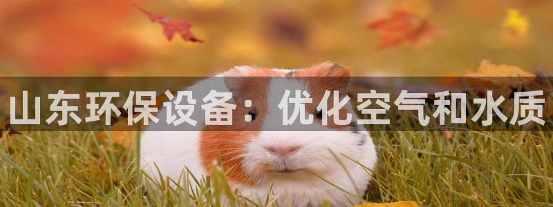 jdb电子游戏有多坑