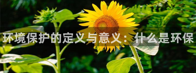 jdb爆分视频